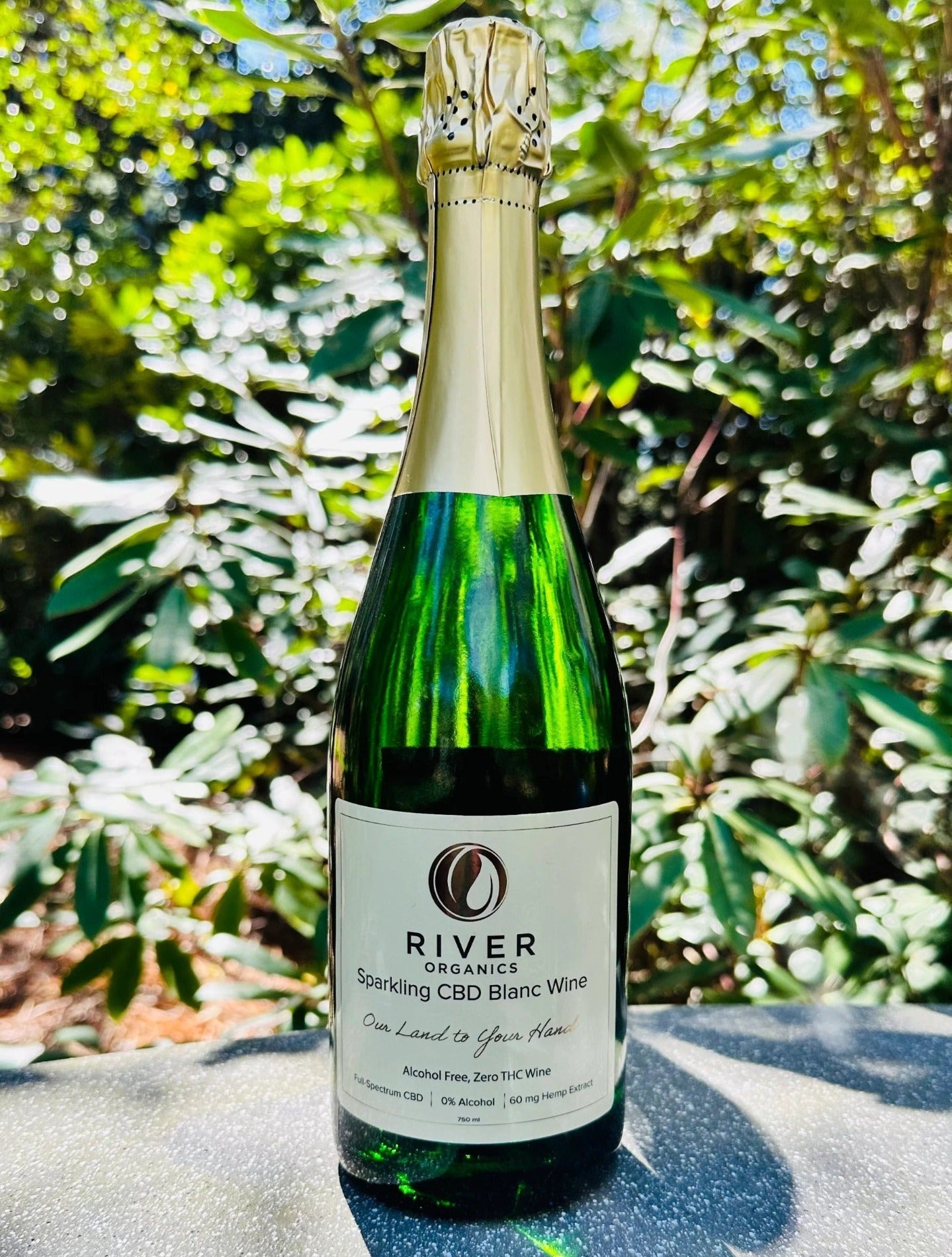sparkling cbd blanc wine in garden
