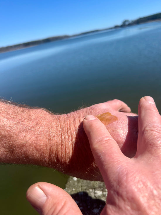Waterman's Hands